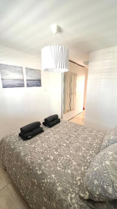 Casa Teddy - Central And Modern One Bedroom Apartment ティアス エクステリア 写真